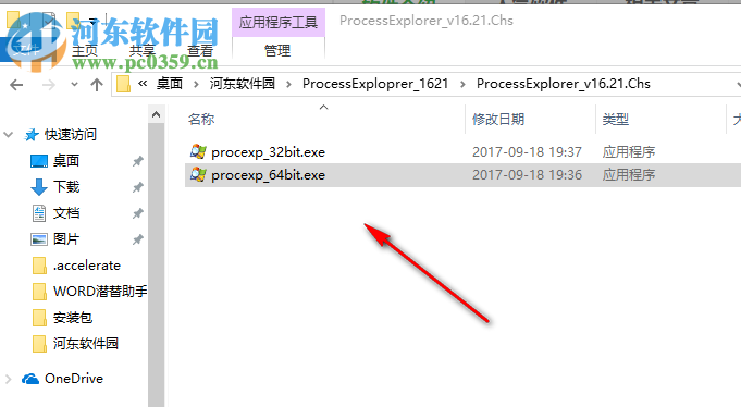 ProcessExplorer 16.21 绿色中文版