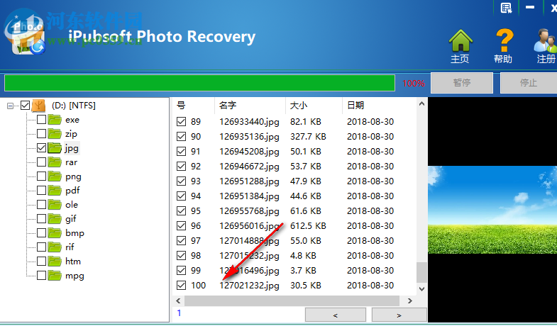 iPubsoft Photo Recovery(图片恢复软件)