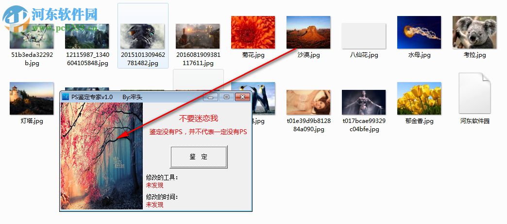 PS鉴定专家下载 1.0 免费版