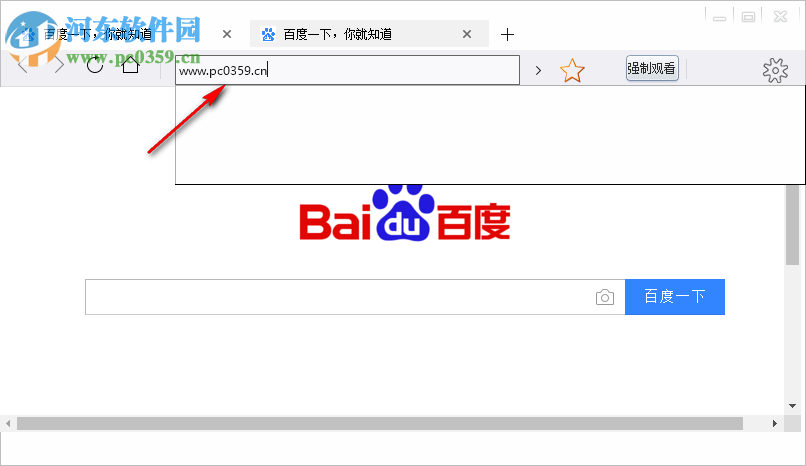 跑马浏览器 3.2623.1401 官方版