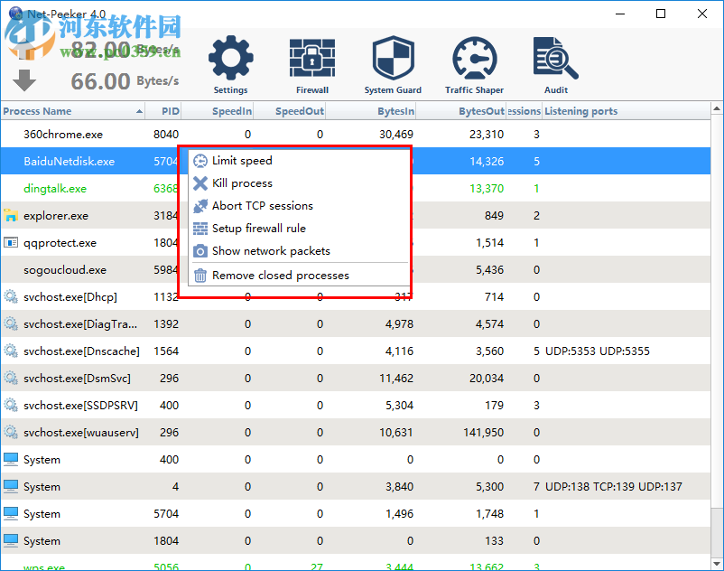 Net-Peeker(网络监视软件) 4.0 破解版