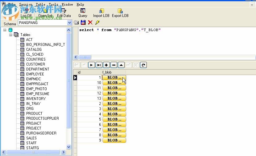 OraLobEditor(数据库字段类型编辑工具) 4.4 官方版