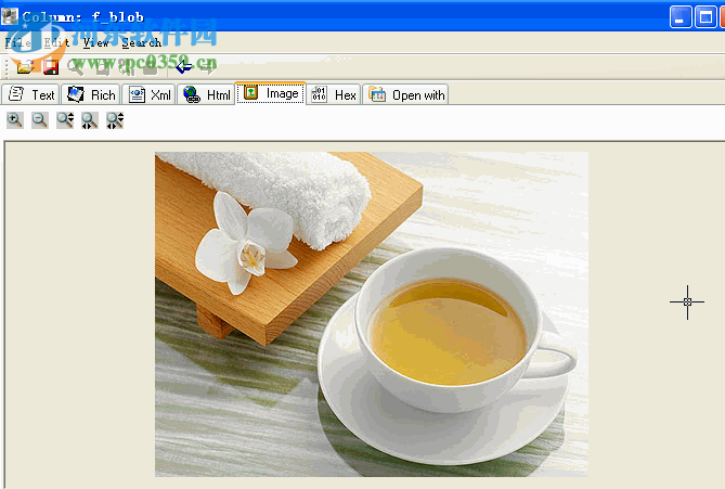 OraLobEditor(数据库字段类型编辑工具) 4.4 官方版