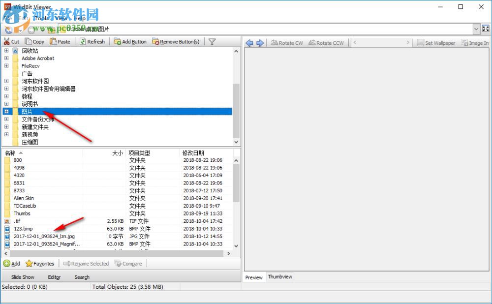 WildBit Viewe(多功能图像查看器) 6.4 破解版