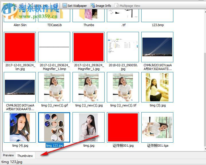 WildBit Viewe(多功能图像查看器) 6.4 破解版