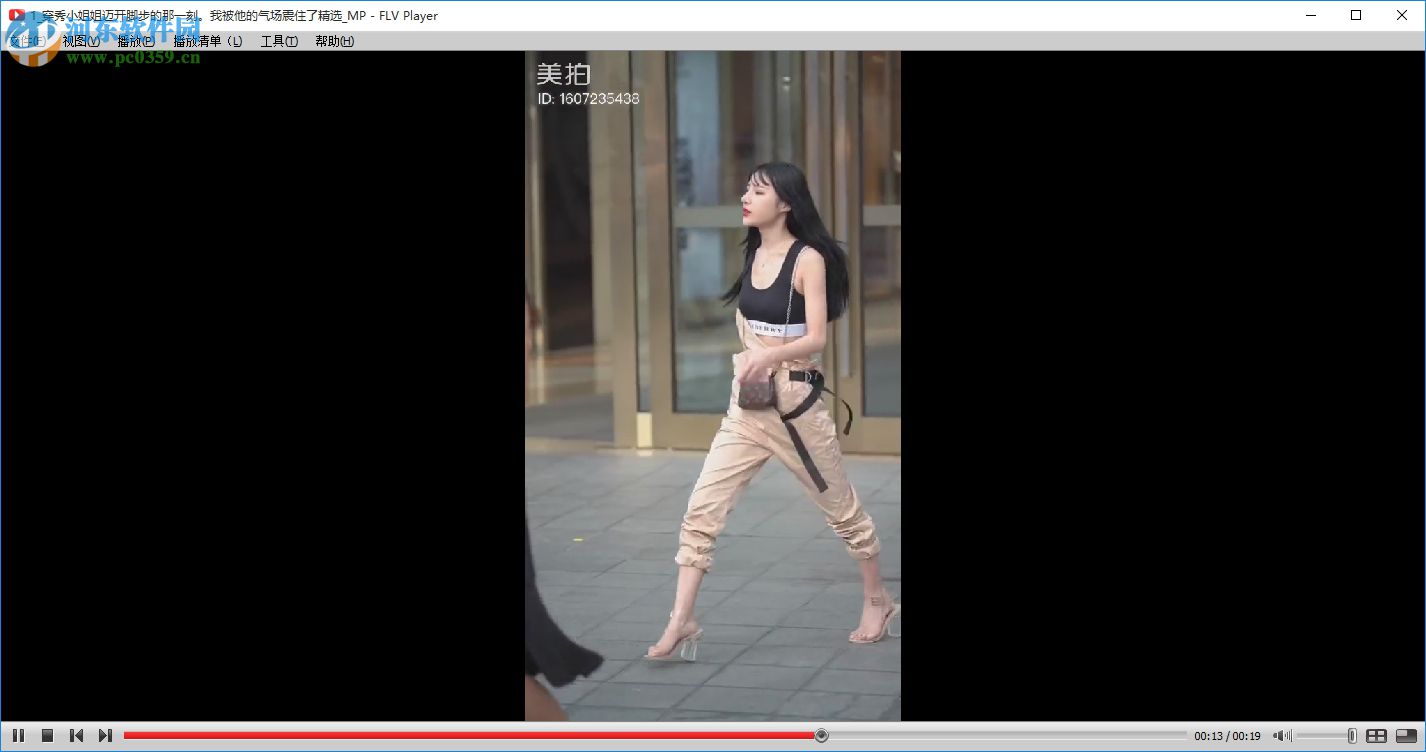 FLV ViewerF4V播放器 2.6.3.0 免费版