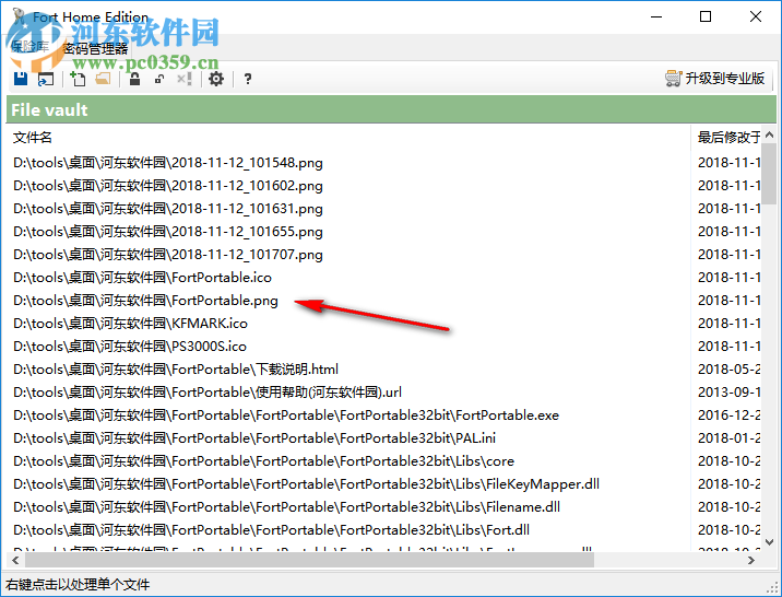 Fort Professional Edition(文件加密器) 4.1.0.0 绿色中文版