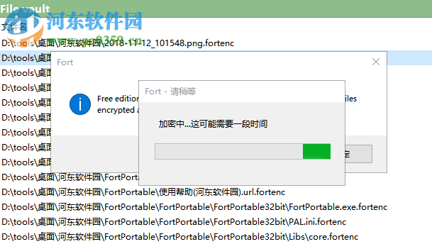 Fort Professional Edition(文件加密器) 4.1.0.0 绿色中文版