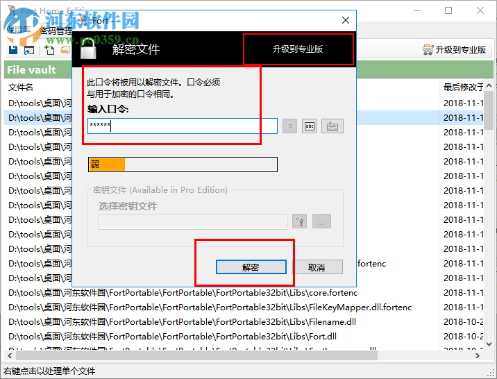 Fort Professional Edition(文件加密器) 4.1.0.0 绿色中文版