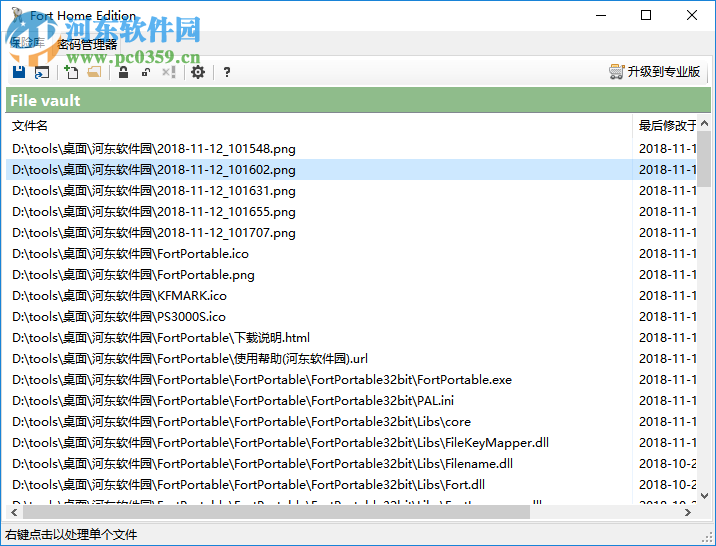 Fort Professional Edition(<a href=/y/wjjiami/ target=_blank class=infotextkey>文件加密</a>器) 4.1.0.0 绿色中文版