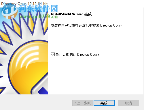 Directory Opus Pro(文件管理器) 12.17.0.0 免费中文版