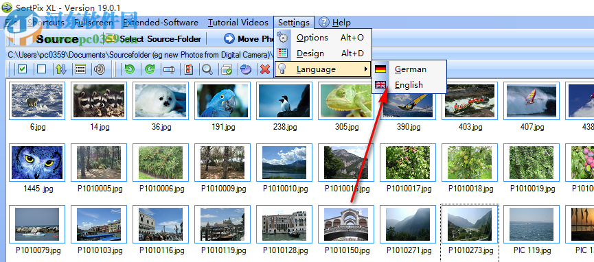 SortPix XL(图像管理软件) 19.0.3 免费版