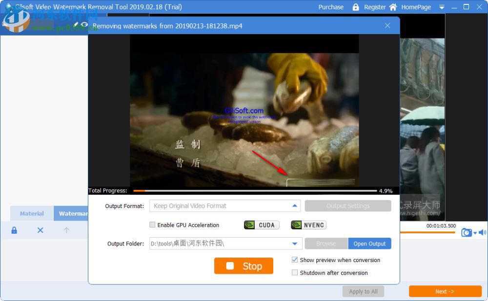 Gilisoft Video Watermark Removal Tool(视频水印删除工具)