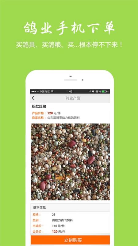 中国信鸽信息网(4)