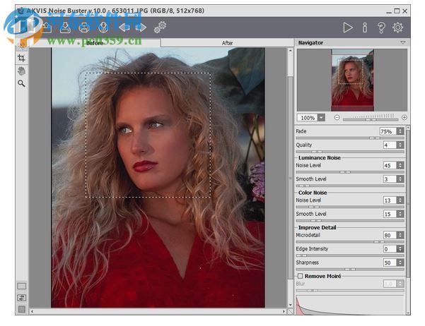 AKVIS Noise Buster(相片降噪软件) 10.3 免费版