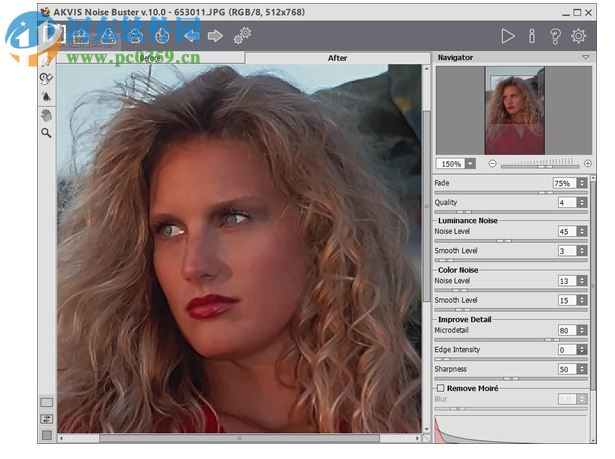 AKVIS Noise Buster(相片降噪软件) 10.3 免费版