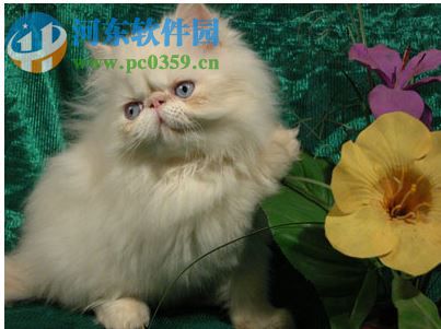 AKVIS Noise Buster(相片降噪软件) 10.3 免费版