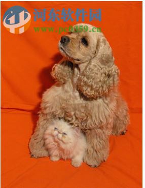 AKVIS Noise Buster(相片降噪软件) 10.3 免费版