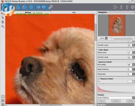 AKVIS Noise Buster(相片降噪软件) 10.3 免费版