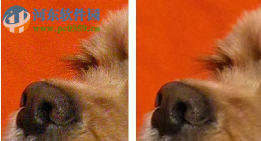 AKVIS Noise Buster(相片降噪软件) 10.3 免费版