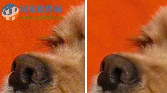 AKVIS Noise Buster(相片降噪软件) 10.3 免费版