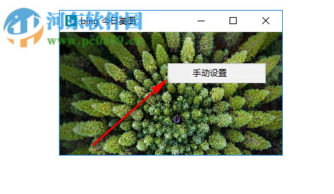 bing今日美图 1.0 免费版