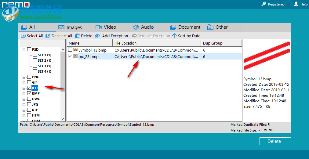 Remo Duplicate File Remover(重复文件删除软件) 1.0.0.3 免费版