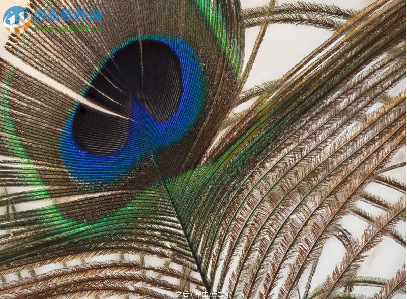 Affinity Photo注册机 1.0 通用版