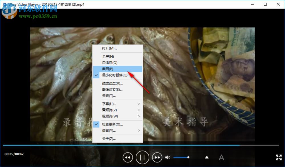 Wise Video Player(简约万能播放器) 1.2.9.35 中文版