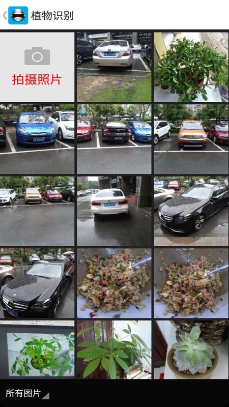 智能图像识别系统(1)