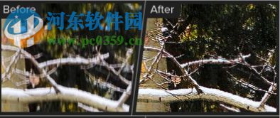 Topaz Sharpen AI(人工智能清晰锐化软件) 1.1.3 官方版