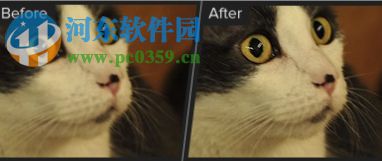 Topaz Sharpen AI(人工智能清晰锐化软件) 1.1.3 官方版