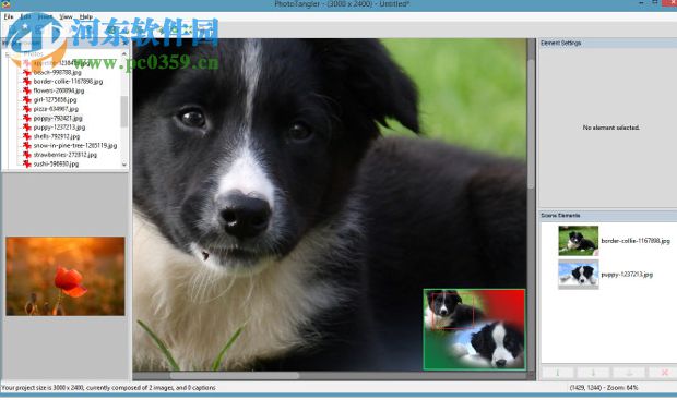 PhotoTangler Collage Maker(图片处理软件) 2.2.0 免费版