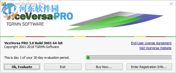 ViceVersa Pro(同步备份软件) 3.0 官方版