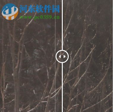 Topaz JPEG to RAW AI(JPEG转RAW格式工具)