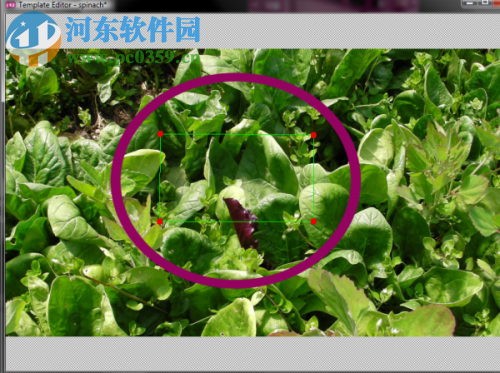 Bolide Movie Creator(视频制作工具) 4.1 官方版