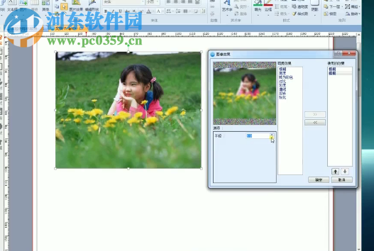 金印客DPS印刷排版软件