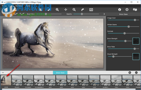 Snow Daze(照片雪景效果添加软件) 1.20 官方版