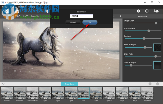 Snow Daze(照片雪景效果添加软件) 1.20 官方版