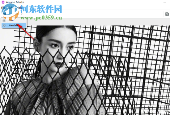 Arcane Marks(图片隐私隐藏工具) 1.0 官方版