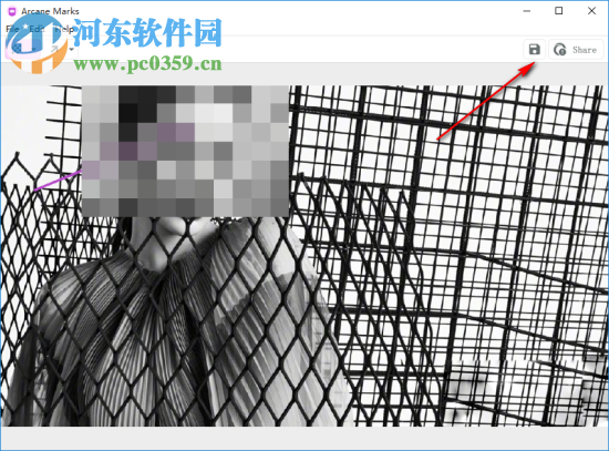 Arcane Marks(图片隐私隐藏工具) 1.0 官方版