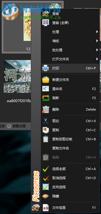 Picosmos Shows(看图工具) 2.0.0 免费版