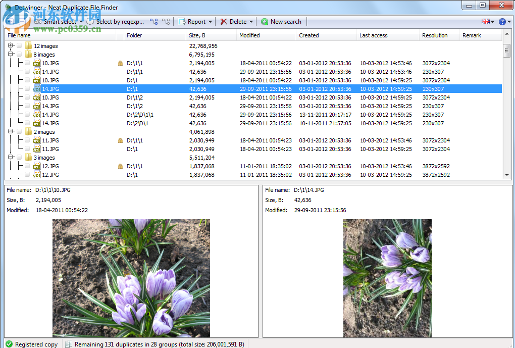 Detwinner(重复文件查找工具) 2.04.001 免费版