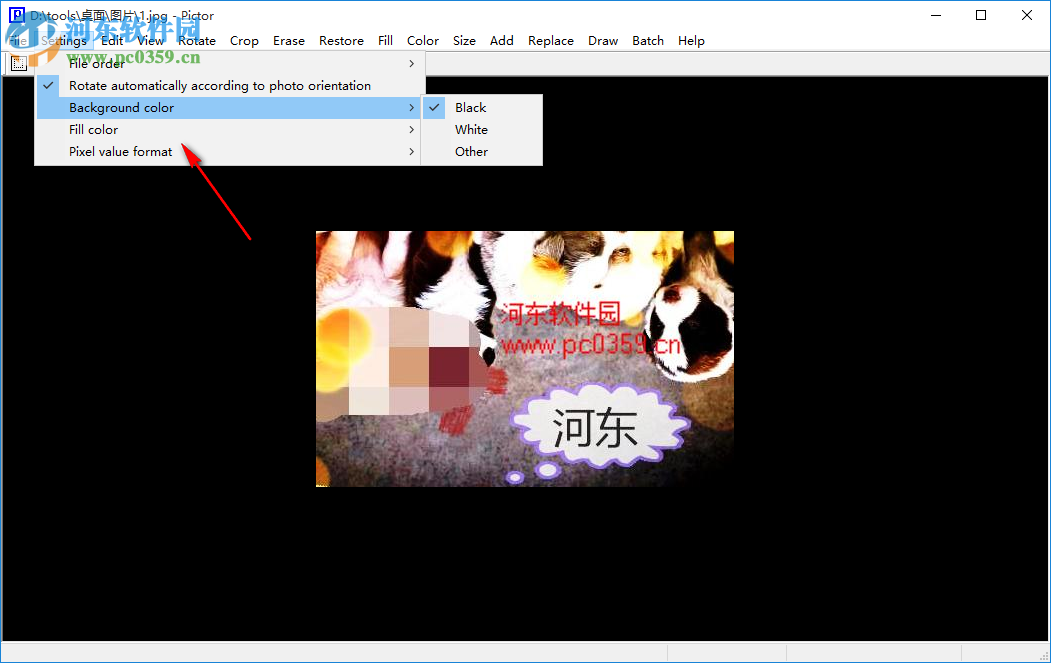 Cpix(图片浏览工具) 2.5.1 免费版