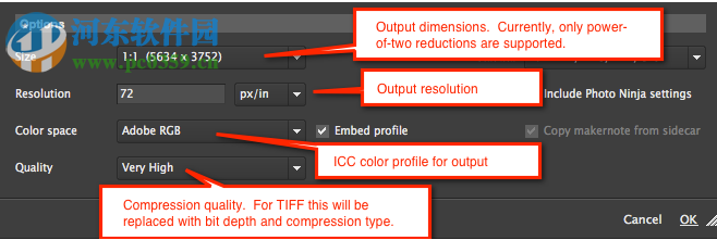 PictureCode Photo Ninja(RAW图片转换器) 1.3.8 免费版