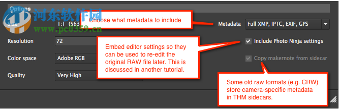 PictureCode Photo Ninja(RAW图片转换器) 1.3.8 免费版