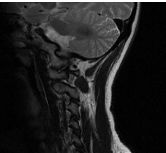 图像测量专家 2018 官方版