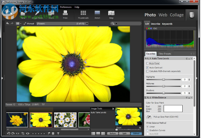 StudioLine Photo Pro 4.2.47 免费版