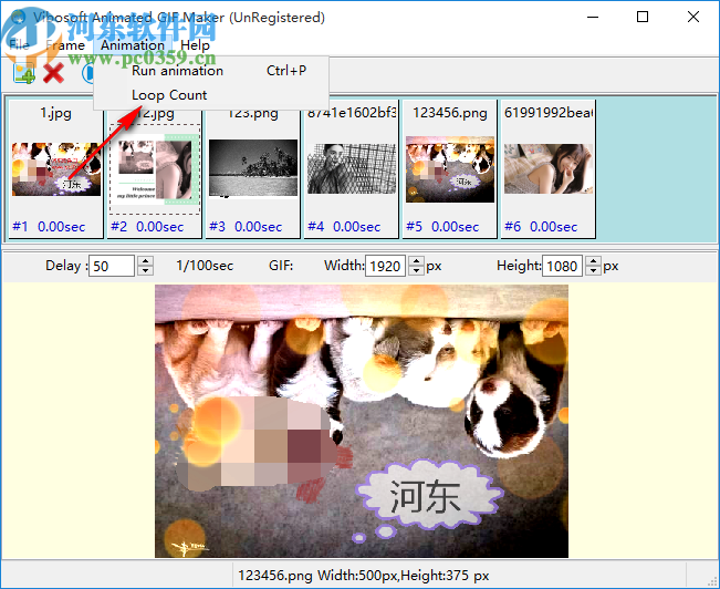 Vibosoft Animated GIF Maker(GIF制作软件)
