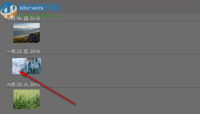 Photo Organizer(照片管理软件)